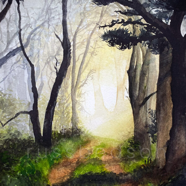 The Old Drover's Road