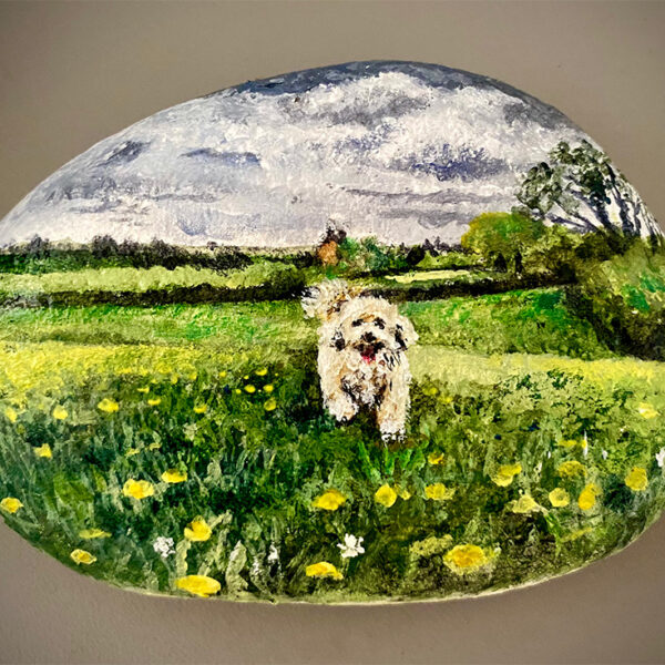 Rosie on the Chapel Field
