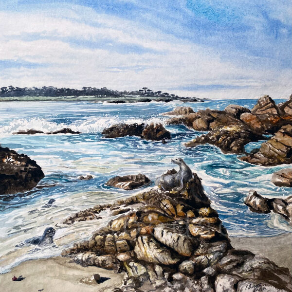 Seal Rock
